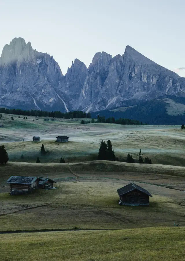 Addon Starter Image 3