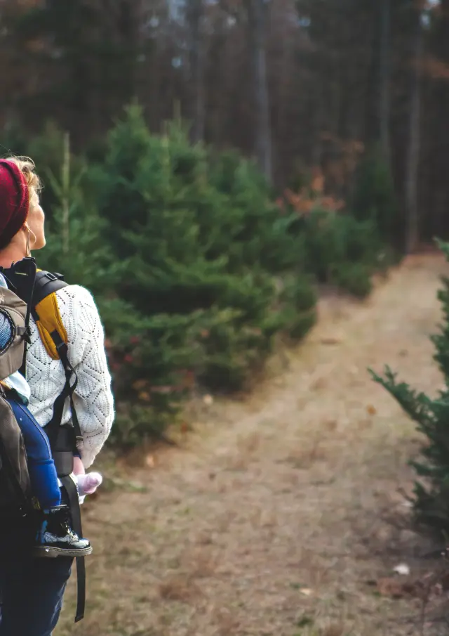 Addon Starter Image 4