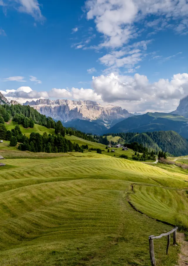 Addon Starter Image 1