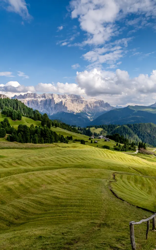 Addon Starter Image 1