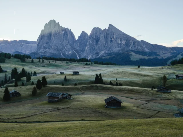 Addon Starter Image 3