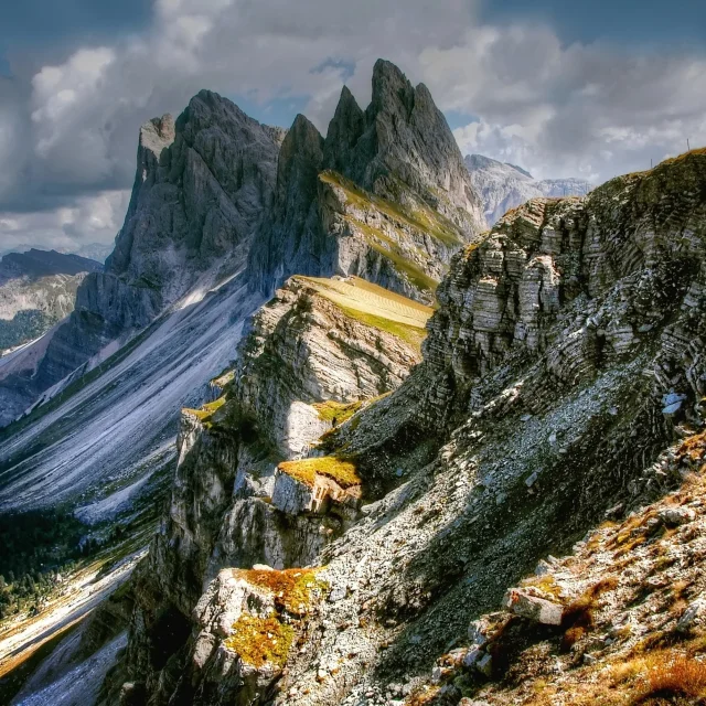 Addon Starter Image 9 1